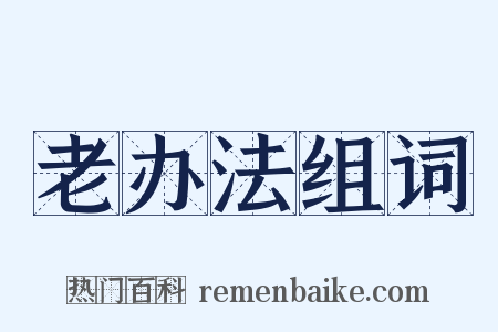 老办法组词是什么意思的图片